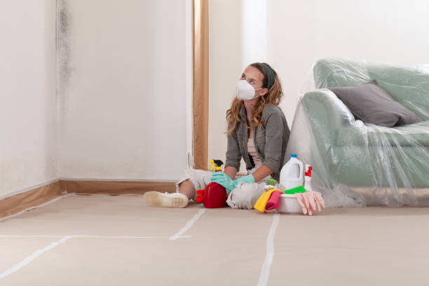 Reliable Commercial Mold Remediation contractor in Cologne, NJ by WQB Mold Removal